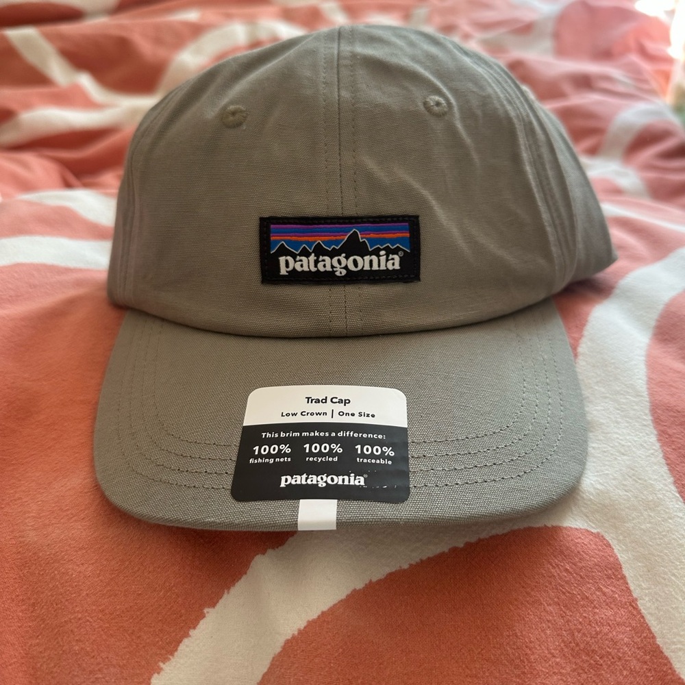 Patagonia Light Gray Baseball Cap